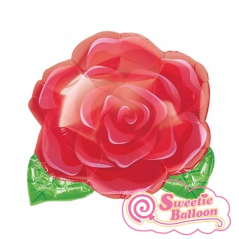 080518120216 Blooming Rose Junior Shape 15 x 17