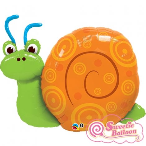 071444298797 Cute Swirly Snail Shape 36