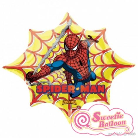 P38 18187_n Spider-Man Web 35 x 29