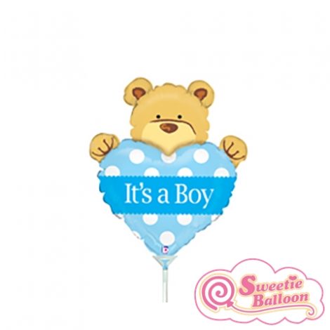 030625198264 Big Heart Bear Boy Mini Shape